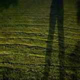 A shadow of a very tall, stretched set of human legs on mown grass at night