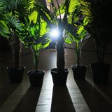 Back-lit tropical houseplants cast shadows in front of them.