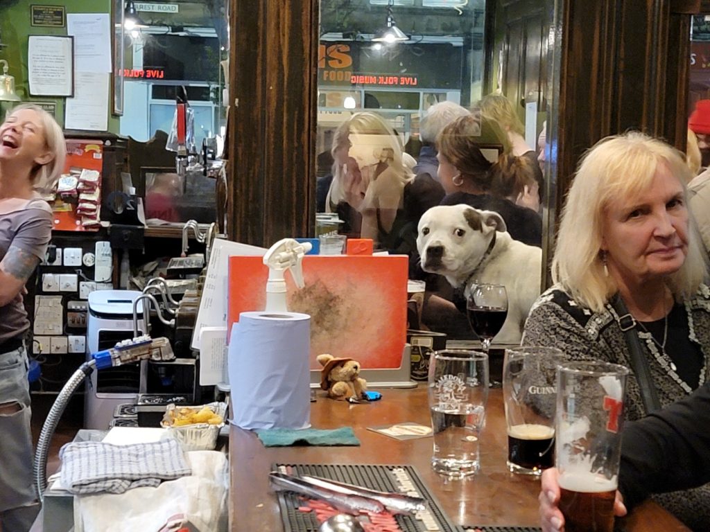 A dog at the bar at Sandy Bell's