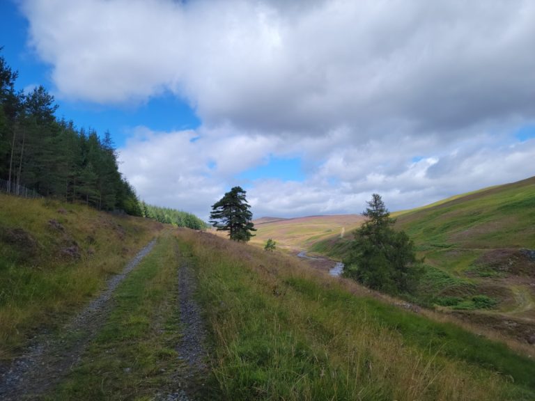 Open moorland on the Atholl Estate