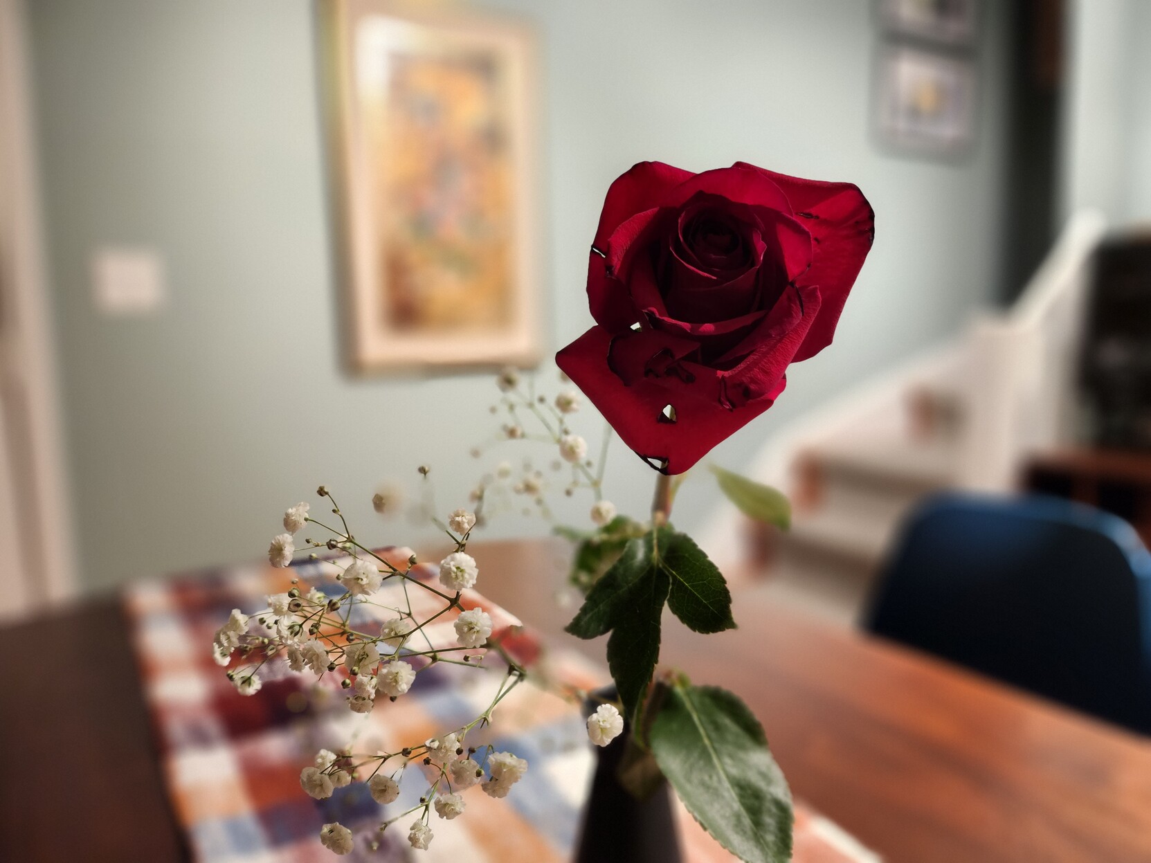 A red rose with baby's breath in a small black vase, with paintings blurred in the background.
