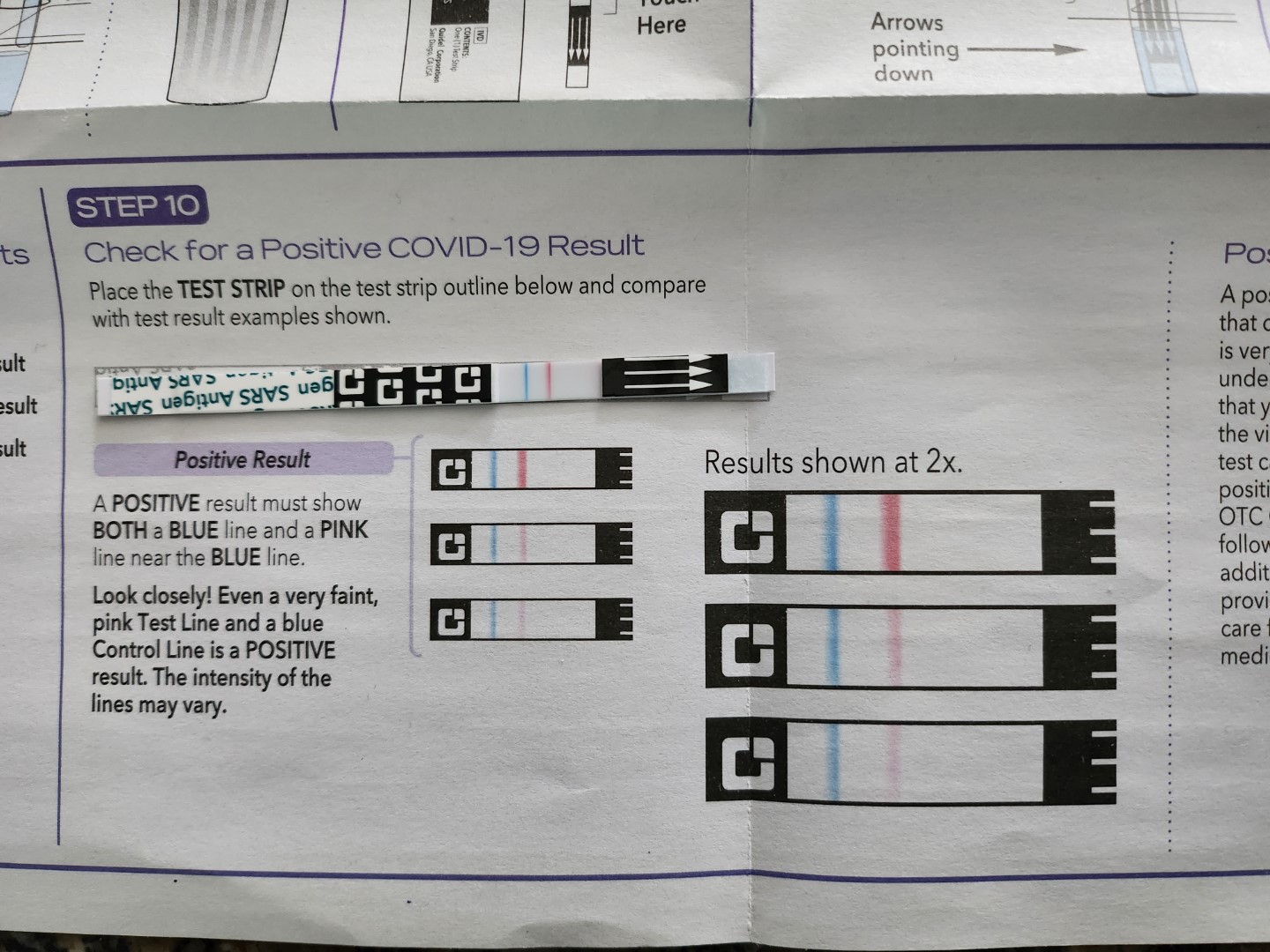 A QuickVue rapid test showing red and blue lines, which is a positive result