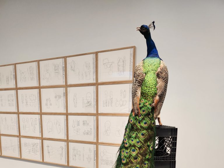 A stuffed peacock sits proudly on top of a pile of milk crates in an art gallery