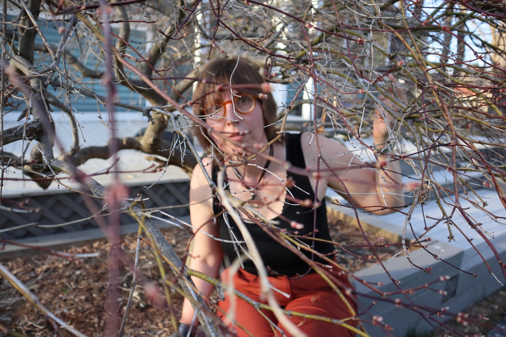 Alison Wilder inside a not-yet-budding Japanese maple staring out impishly