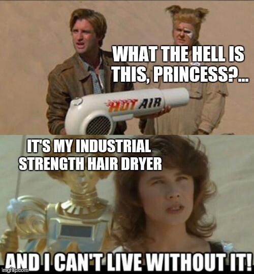 Meme from the movie Spaceballs. Lonestar is holding a giant hairdryer and asking Princess Vespa, "What the hell is this, Princess?" Princess Vespa haughtily answers, "It's my industrial strength hairdryer, and I can't live without it!"